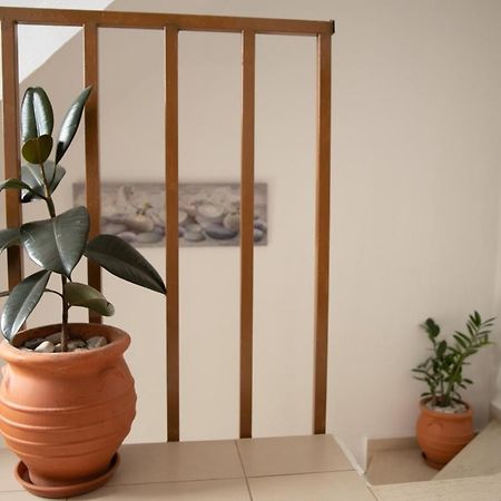 Nikorina Apts Lefkáda المظهر الخارجي الصورة
